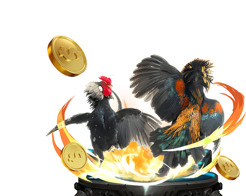 Chương trình giới thiệu đối tác phụ