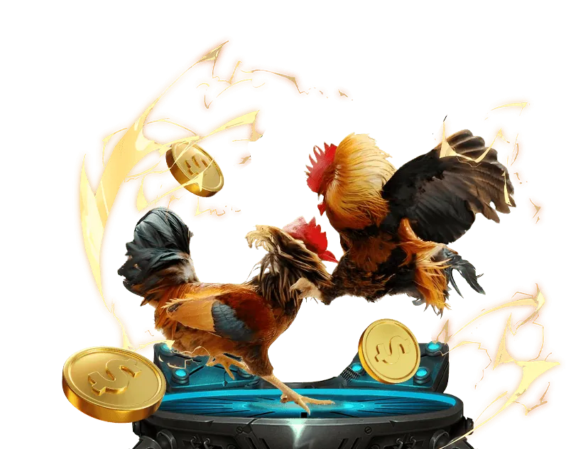 Hỗ trợ marketing chuyên nghiệp cho đối tác Kubet AE